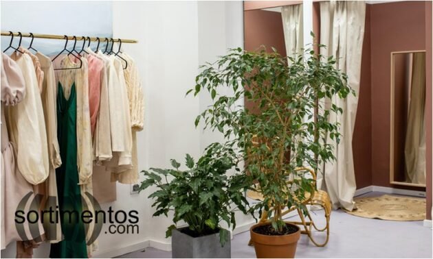 Sistema 3 As : comércio varejista de moda e as regras para uso dos provadores - Sortimentos.com