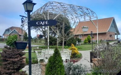 Lavandário Het Dorp em Carambeí nos Campos Gerais no Paraná