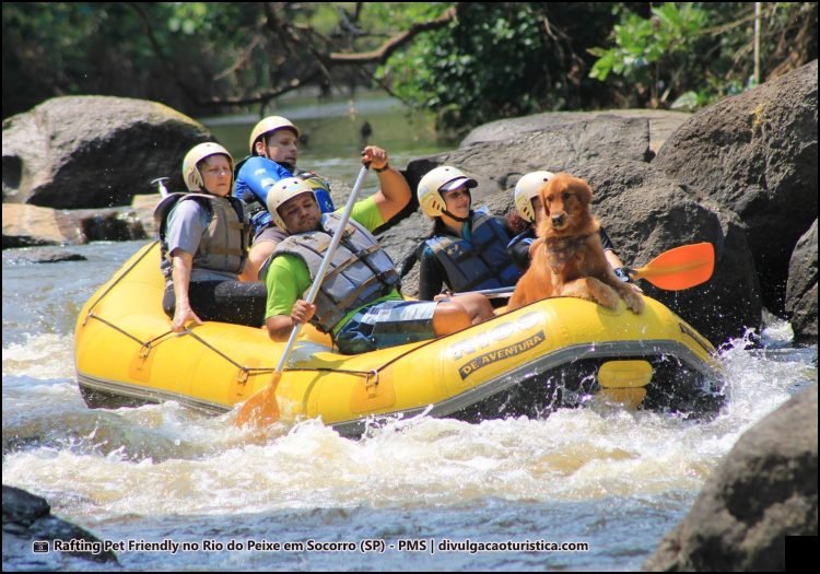 Rafting Pet Friendly no Rio do Peixe em Socorro (SP) - Sortimentos.com